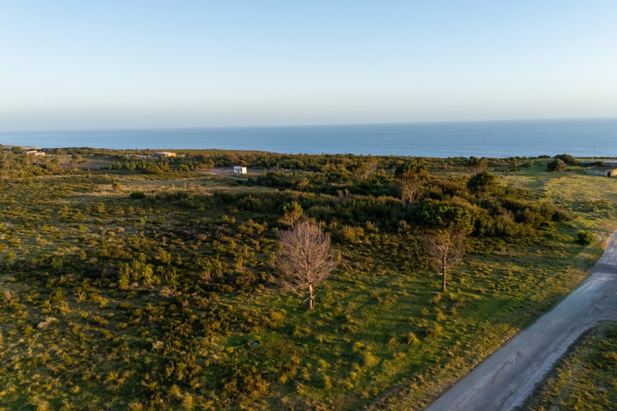 0 Bedroom Property for Sale in Kranshoek Township Western Cape